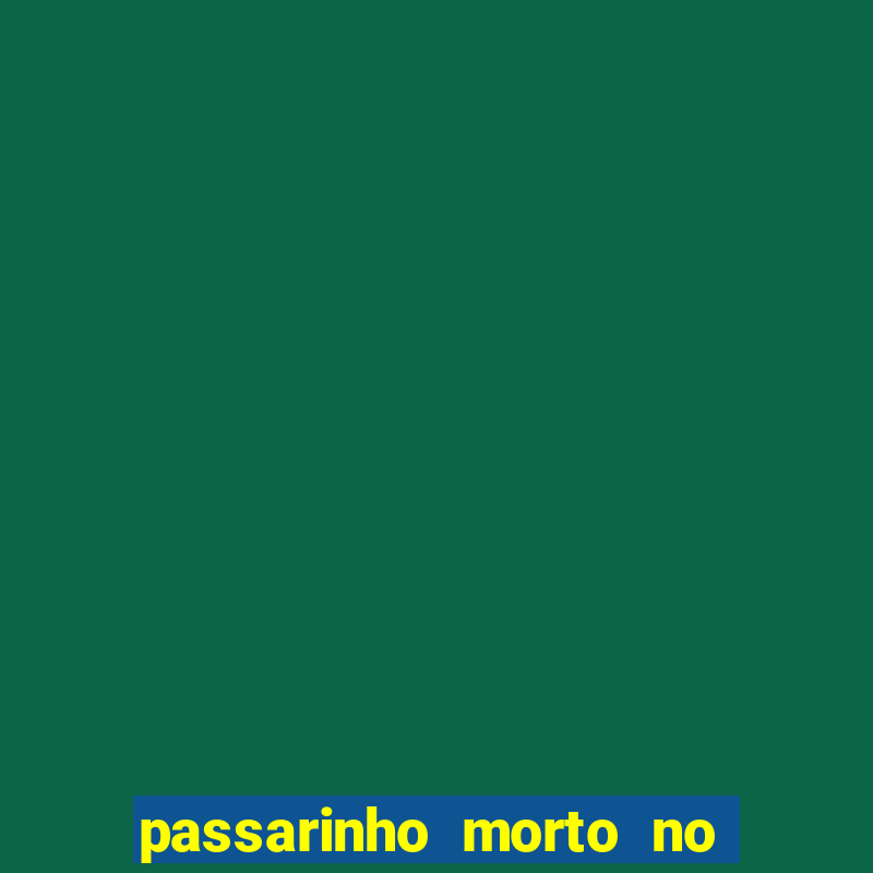 passarinho morto no quintal significado espiritual